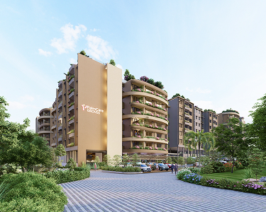 bannera img phone 2.jpg